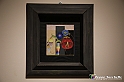 VBS_1313 - Castello di Miradolo - Mostra Oltre il giardino l'Abbecedario di paolo Pejrone